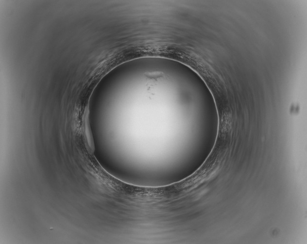 X0000094971202200711291455