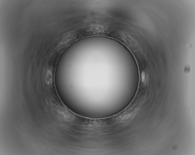 X0000094971203200711291455