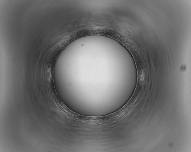 X0000094971204200711291455