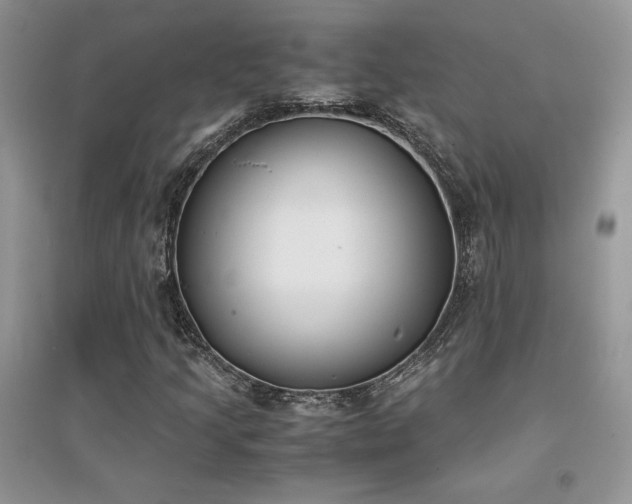 X0000094971205200711291455