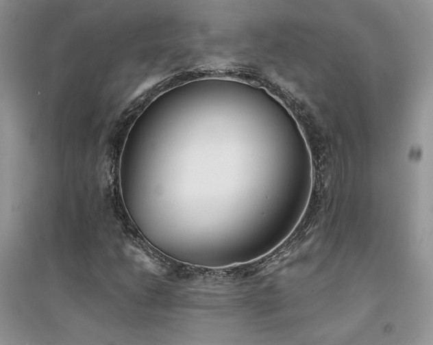 X0000094971206200711291456