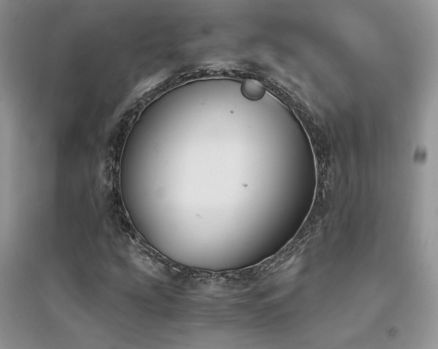 X0000094971207200711291456