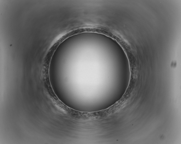 X0000094971208200711291456