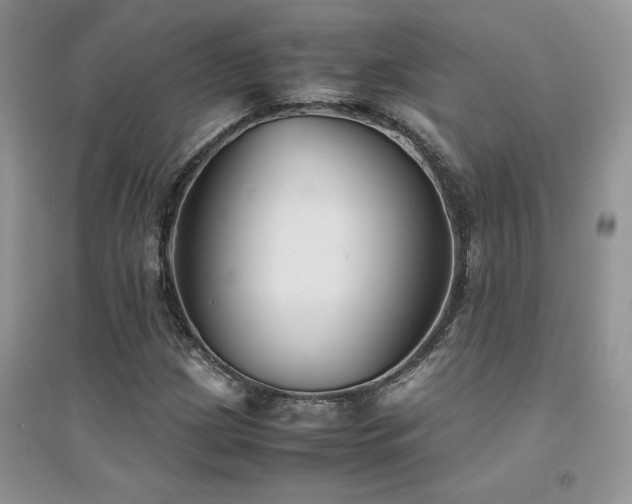X0000094971209200711291456