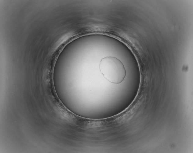X0000094971211200711291456