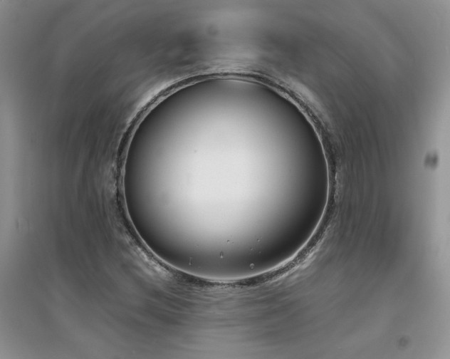 X0000094971212200711291456