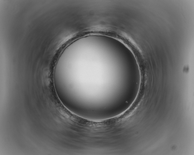 X0000094971213200711291456
