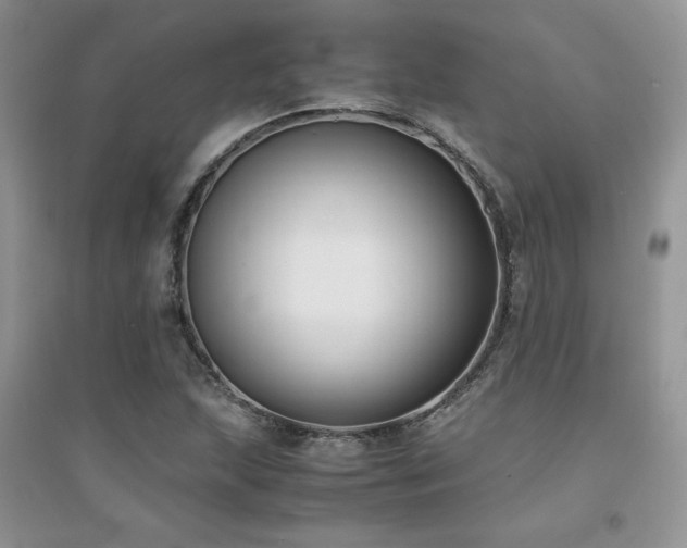 X0000094971215200711291456