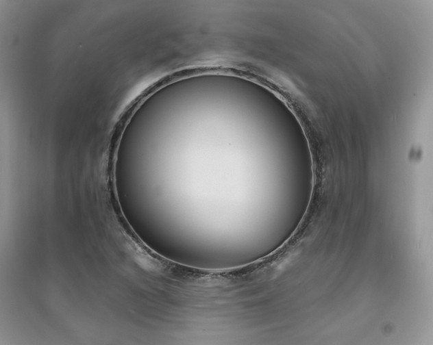 X0000094971216200711291456