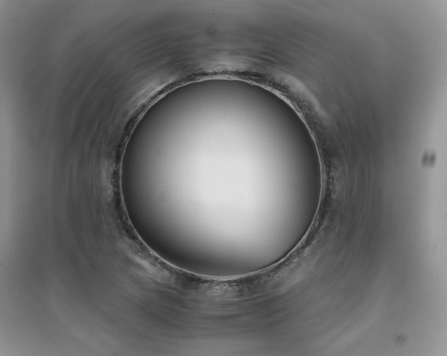 X0000094971217200711291456