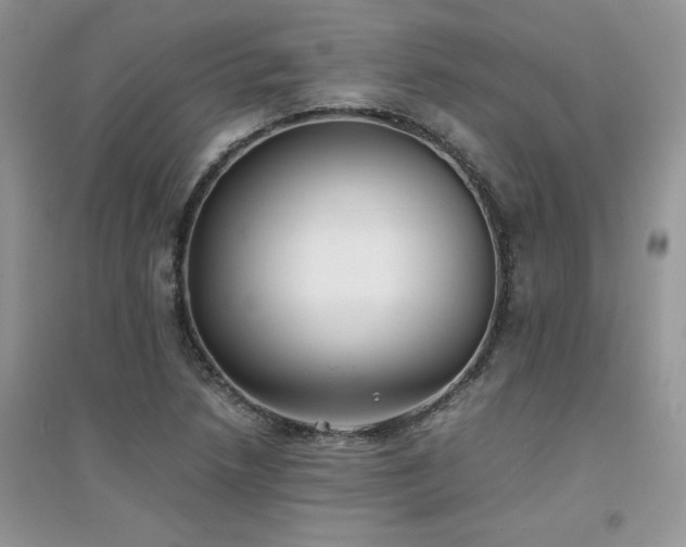 X0000094971218200711291456