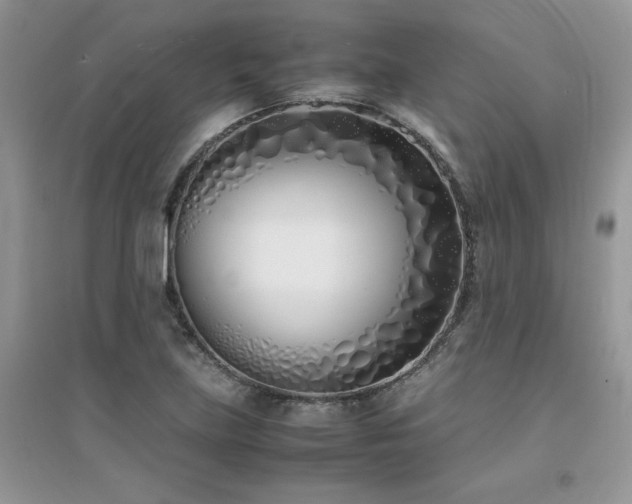 X0000094971219200711291456