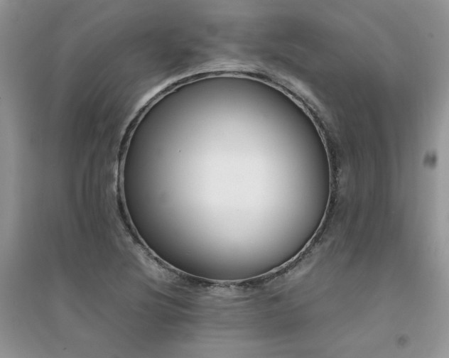 X0000094971220200711291456