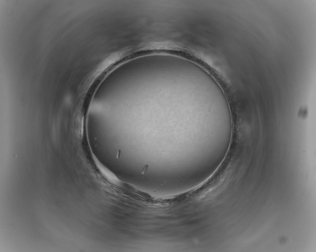 X0000094971221200711291456