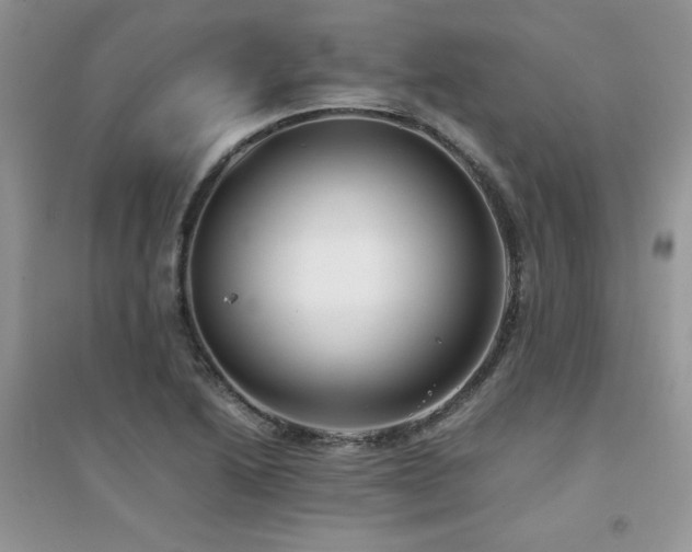 X0000094971222200711291456