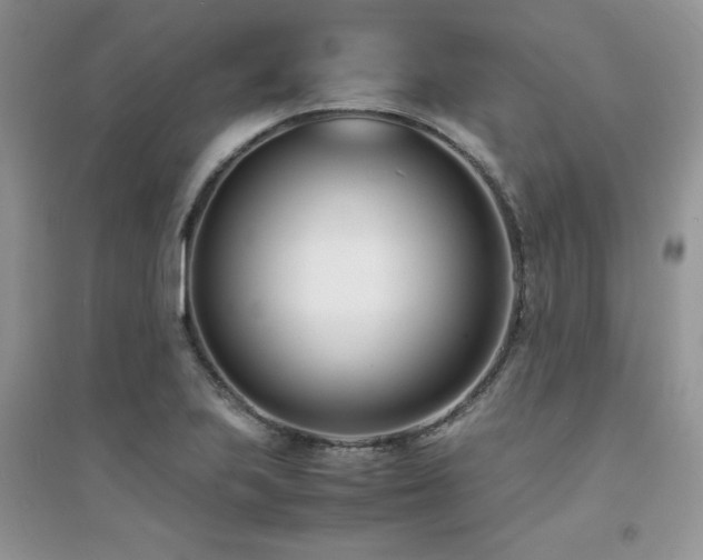 X0000094971223200711291456