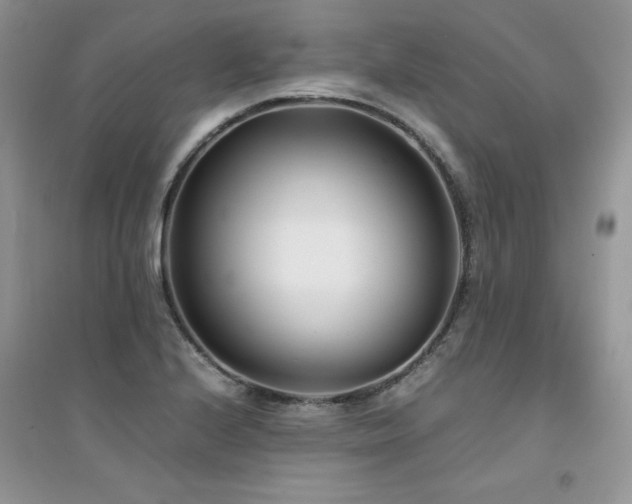 X0000094971224200711291456