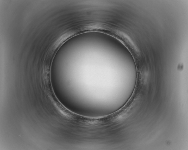 X0000094971225200711291456
