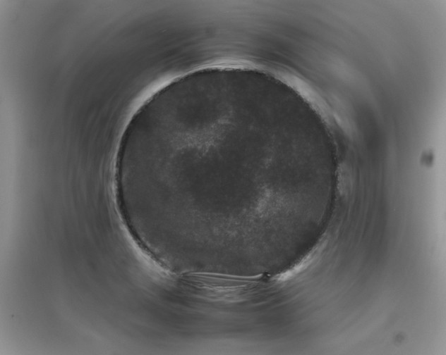 X0000094971229200711291456