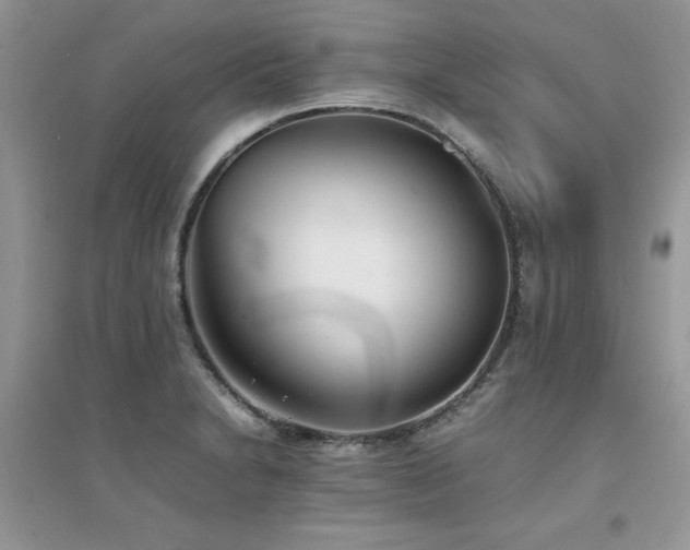 X0000094971230200711291456