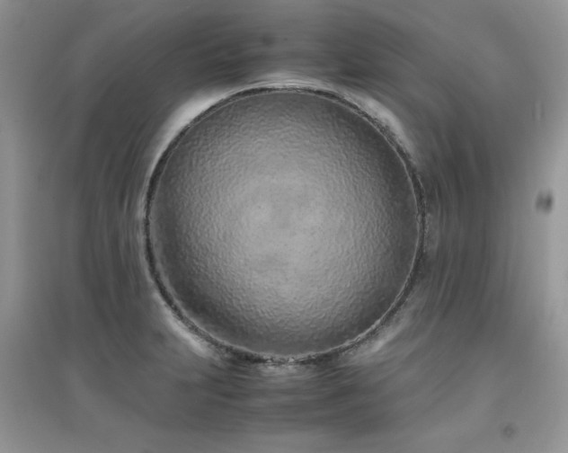 X0000094971231200711291456