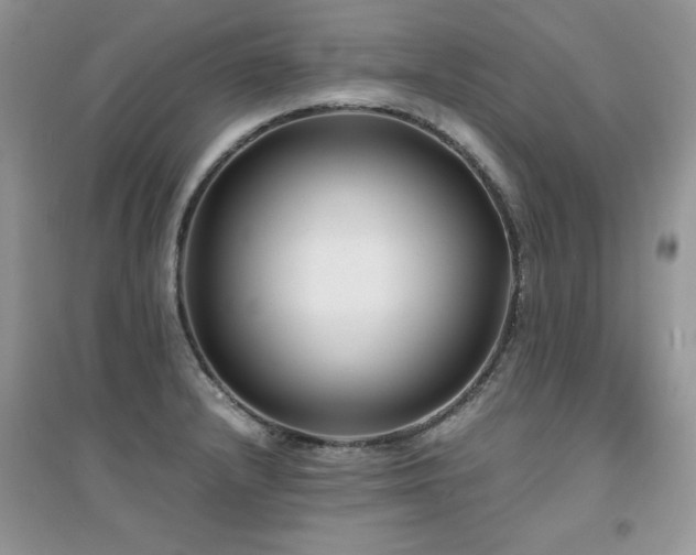 X0000094971232200711291456
