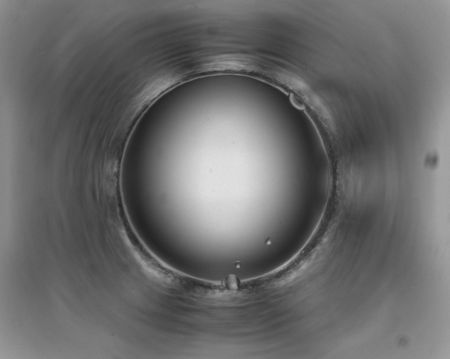 X0000094971233200711291456