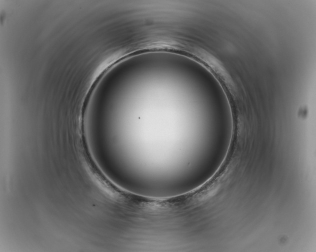 X0000094971234200711291456