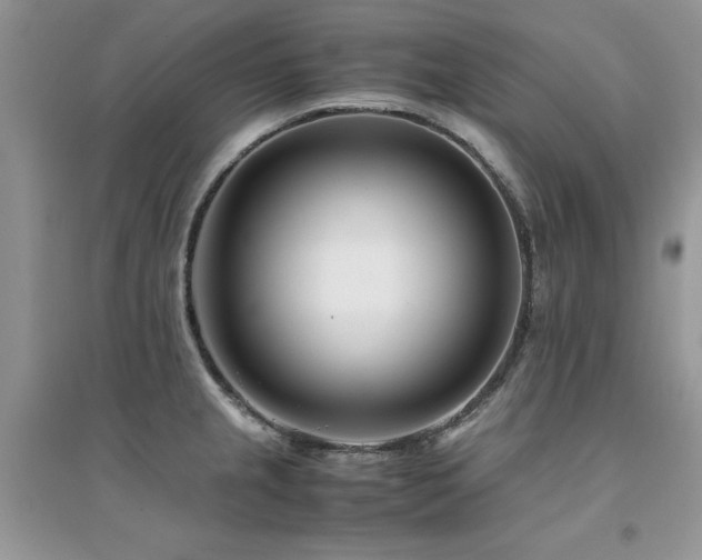 X0000094971237200711291456