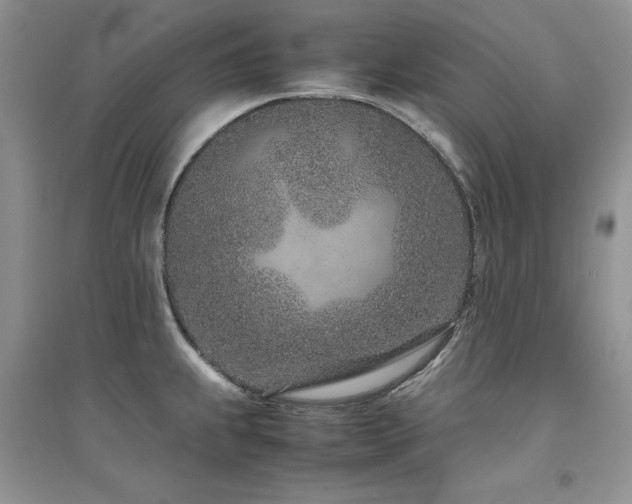 X0000094971239200711291456