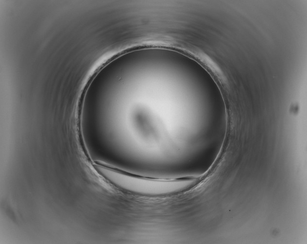 X0000094971240200711291456