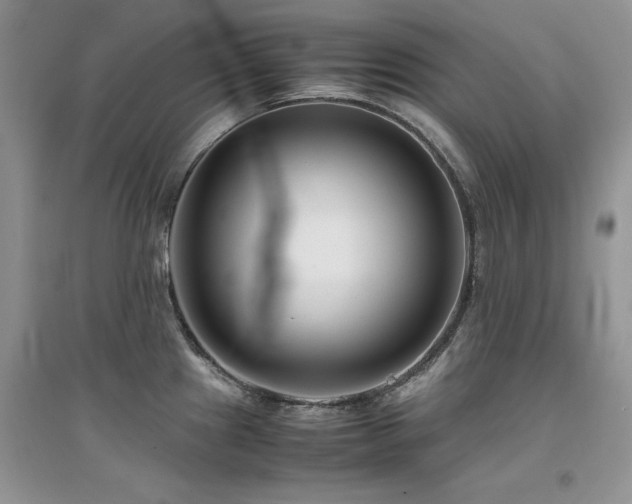X0000094971241200711291456