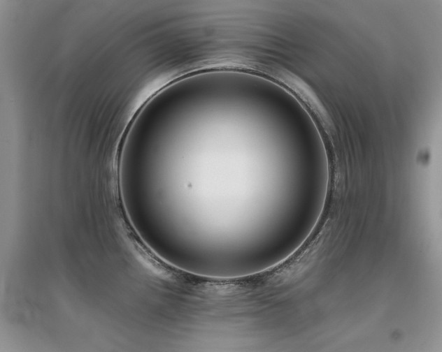 X0000094971242200711291456