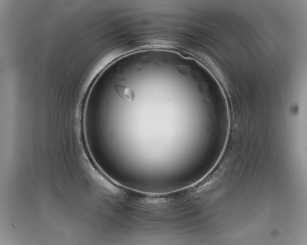 X0000094971243200711291456