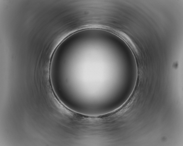 X0000094971244200711291456