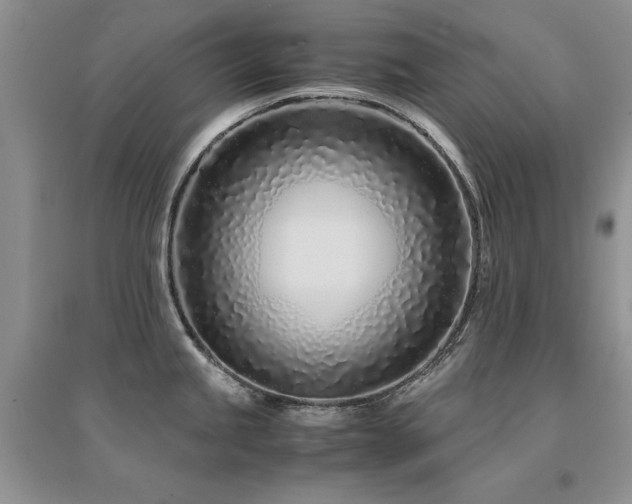 X0000094971245200711291456
