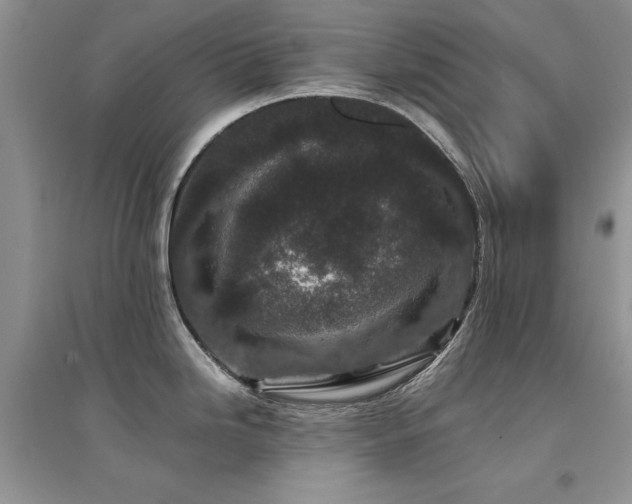 X0000094971246200711291456