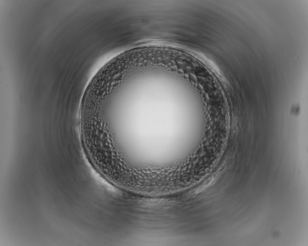 X0000094971247200711291456