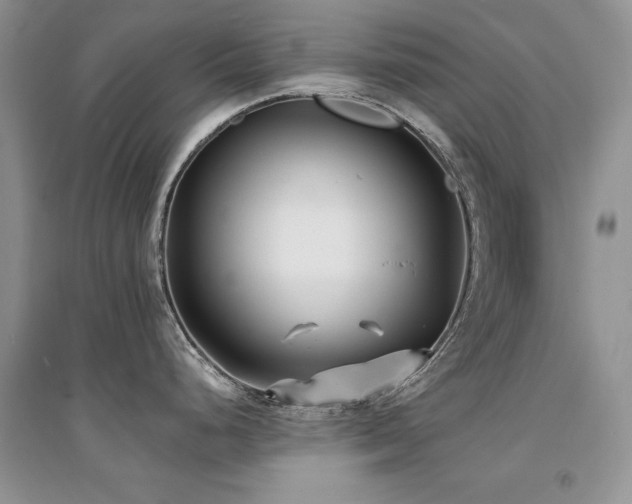 X0000094971248200711291456