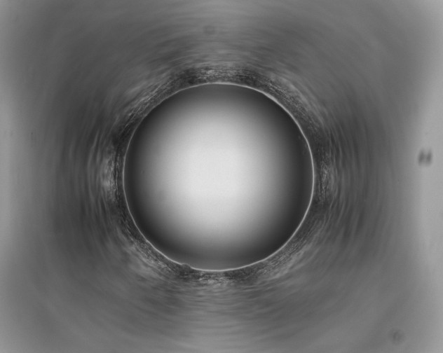X0000094971250200711291455