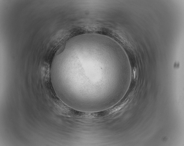 X0000094971251200711291455