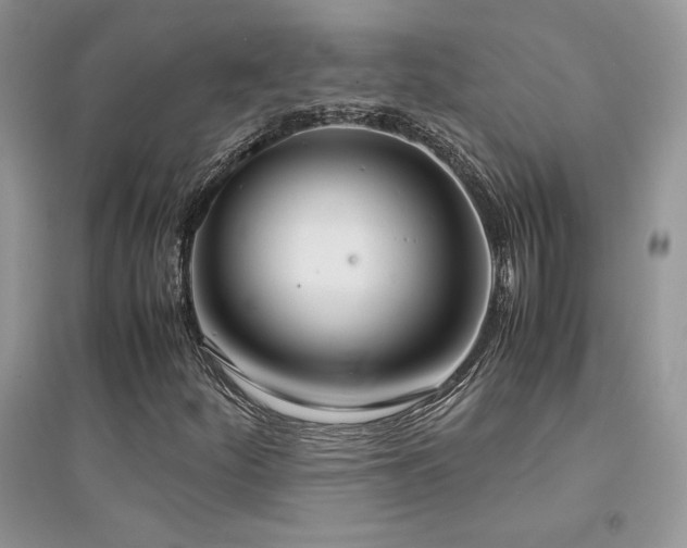 X0000094971252200711291455