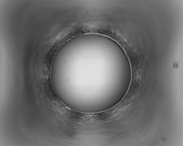 X0000094971253200711291455