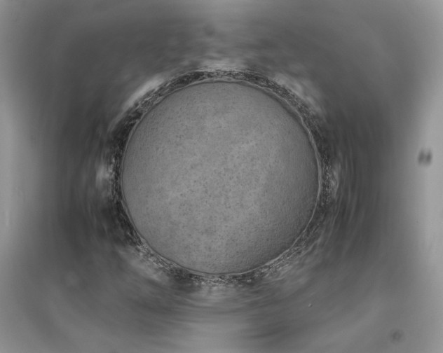 X0000094971254200711291455
