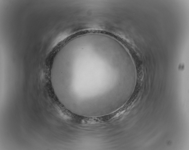X0000094971255200711291455