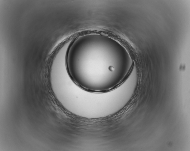 X0000094971256200711291455
