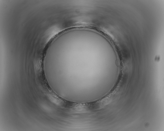 X0000094971259200711291455