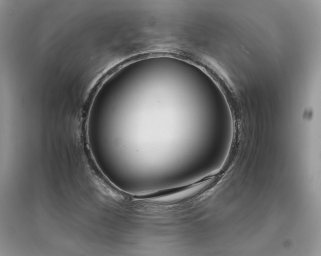 X0000094971260200711291455