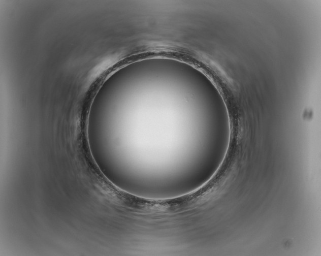 X0000094971261200711291455