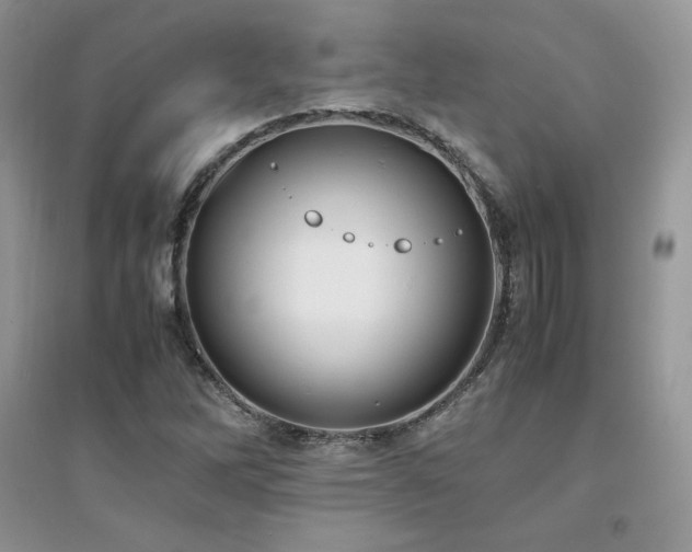 X0000094971262200711291455